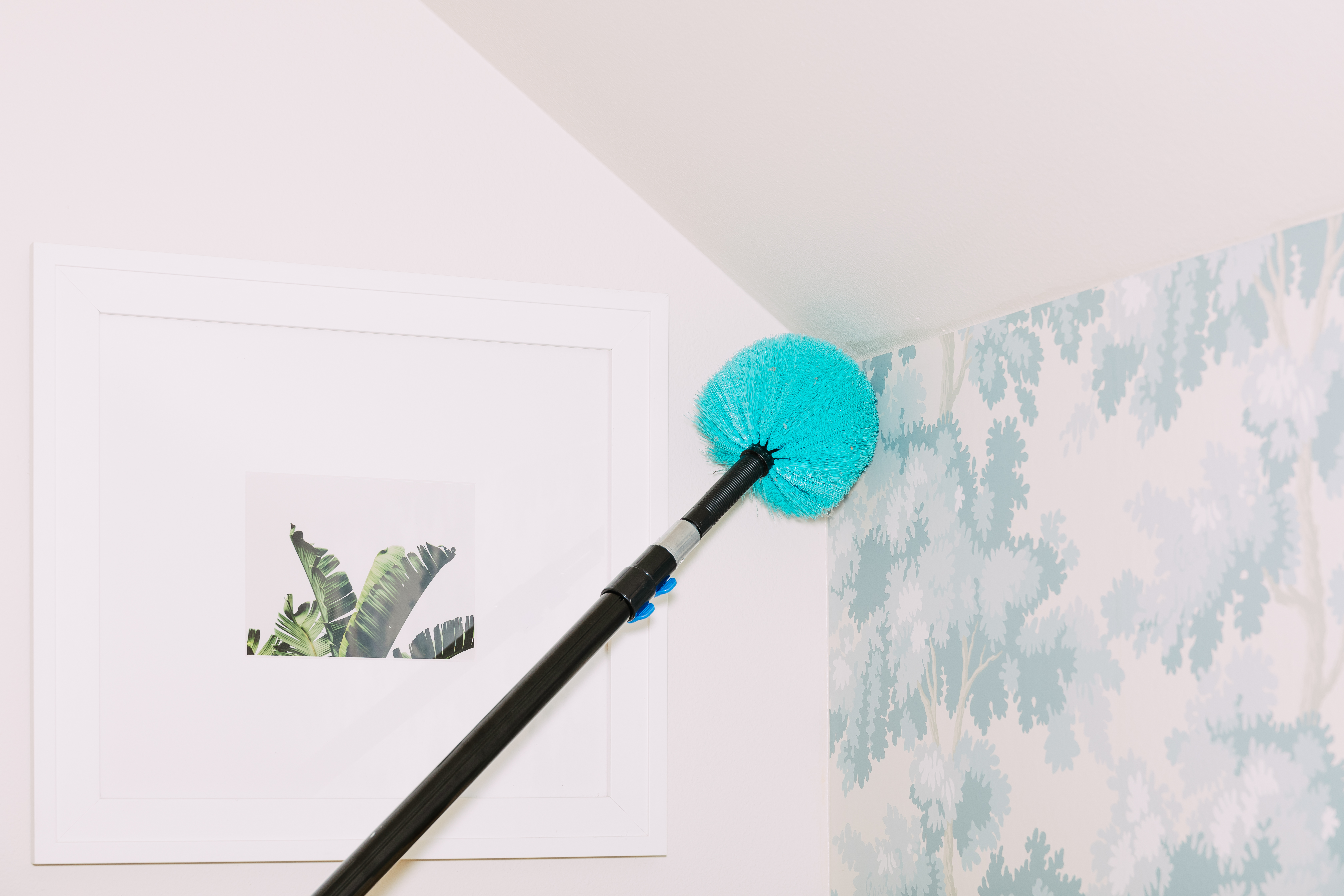 Dusting a ceiling corner